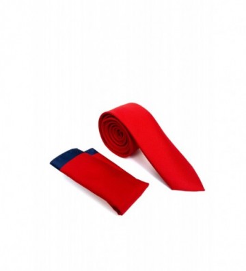 CRAVATA POLIESTER TESUTA...