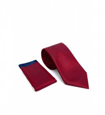 CRAVATA POLIESTER TESUTA...